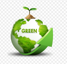 禁限用物质检测